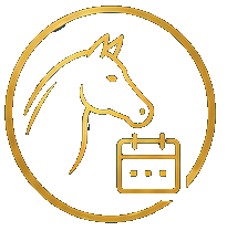 Au service de vos cavaliers et de vos chevaux