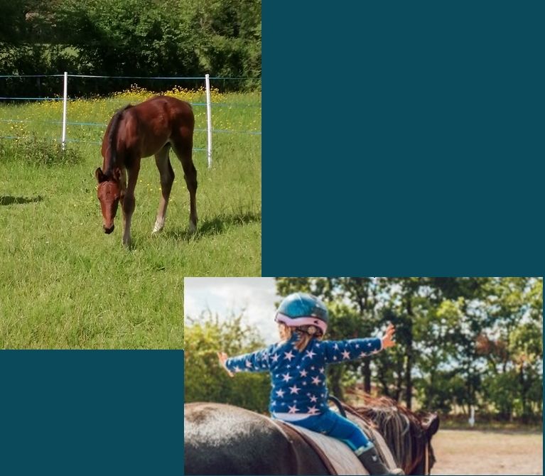 Gestion des appels d'offres